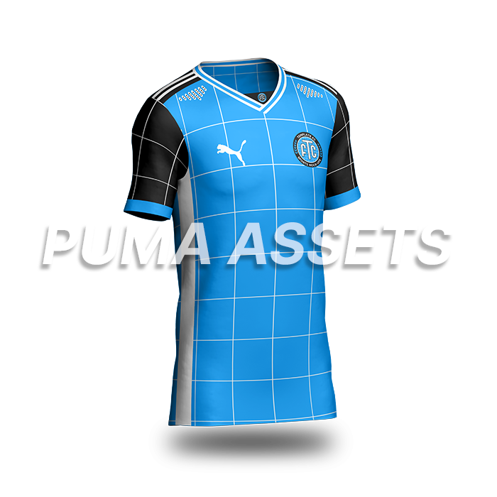 Puma Assets
